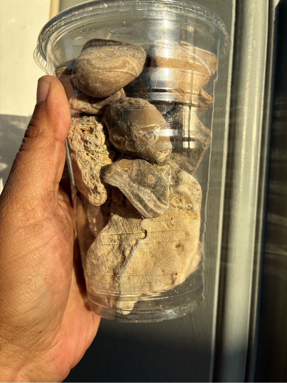 1.4 lbs of Naturally Sea Tumbled rocks #stones #minerals - Picture 13 of 15